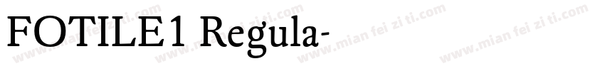 FOTILE1 Regula字体转换